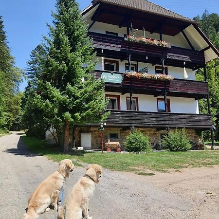 Waldblick Ferienwohnungen Бондорф им Шварцвалд Екстериор снимка