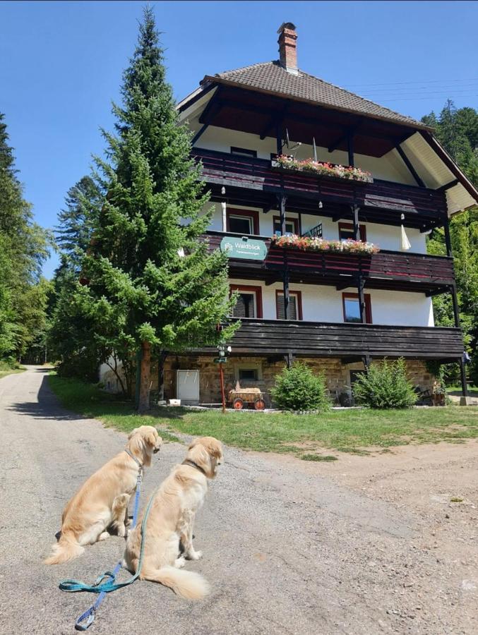 Waldblick Ferienwohnungen Бондорф им Шварцвалд Екстериор снимка